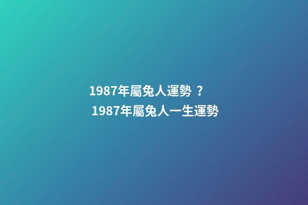 1987年屬兔人運勢？ 1987年屬兔人一生運勢-第1張-觀點-玄機派